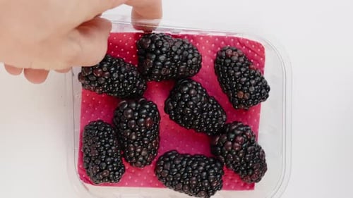 Fresh Blackberries Zoom Close Up in Container