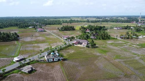 A highway in a very wide rice field area with quite dense traffic activity
