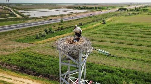 Des terres agricoles ouzbèkes et un nid de cigognes sur une haute structure