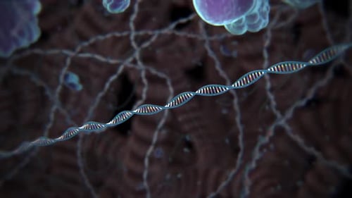 Stunning DNA double helix structure with colorful spiral pattern
