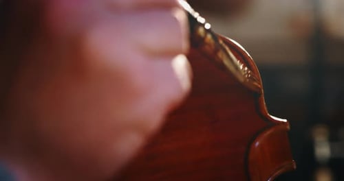 Slow motion macro of professional master artisan luthier painting a handmade violin in a workshop.