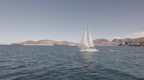 Boat Sailing In The Ocean At Summer. - aerial