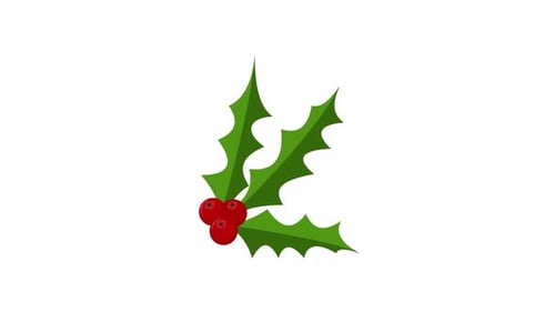 Christmas Holly Berries Flat Design Animation