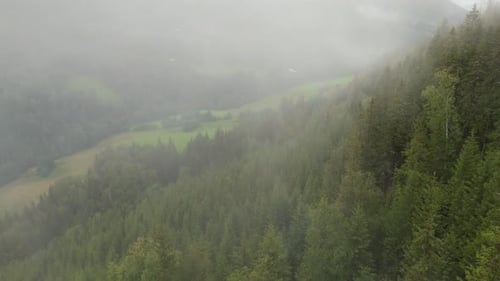Aerial view showcasing fog draped over forest trees on a scenic hillside, creating a serene and myst