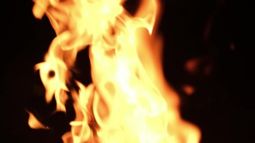 Abstract Close-Up of Vibrant Fire Flames on Black