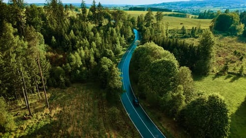 Autofahren auf kurvenreicher Straße durch üppigen Wald, schwarzes Schrägheck, das sich auf einer kurvigen Asphaltroute bewegt