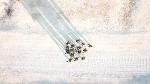 Overhead Shot of Group in Desert with Shadows