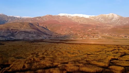 Des roseaux à flanc de montagne
