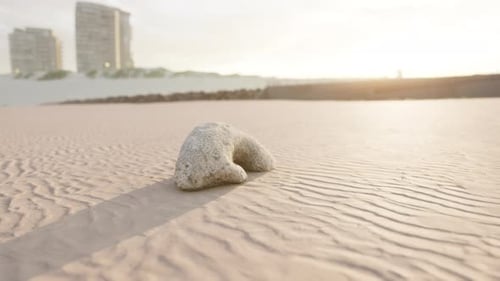 Old White Coral on Sand Beach