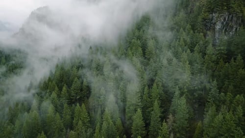 Aerial View of Beautiful Mountain Landscape Fog Rises Over the Mountain Slopes