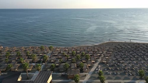 Aerial View of a Beautiful Sandy Beach with Palm Trees and Sun Loungers on the Ocean Shore