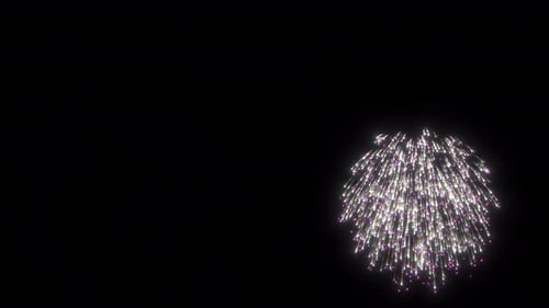 Bright Fireworks Explosions with Glittering Trails Overlay