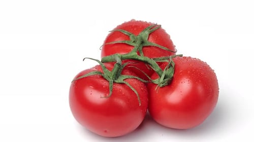 Kirschtomate, drei ganze essbare Pflanzen auf einem Zweig, mit natürlicher antioxidativer Rotation in feuchten Tropfen, isoliert