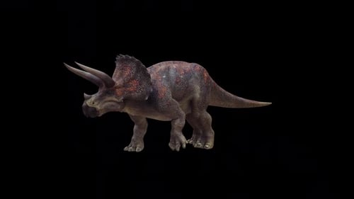 Triceratops Horridus Dinosaurier