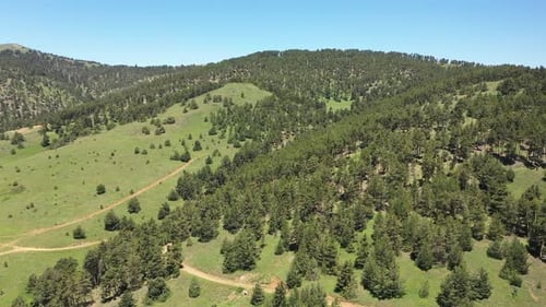 Collines au sommet des arbres avec vue aérienne