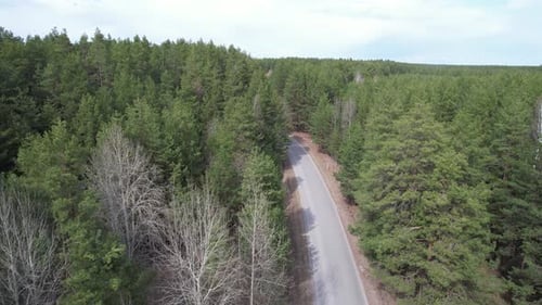 Über die Waldstraße fliegen