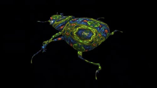 Fantasy Scarab Beetle - Walking Loop - Back Side Angle Close Up View - Alpha Channel