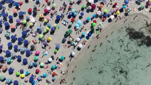 Aerial view on beach, people and umbrellas. Vacation and adventure. Top view from drone at beach.