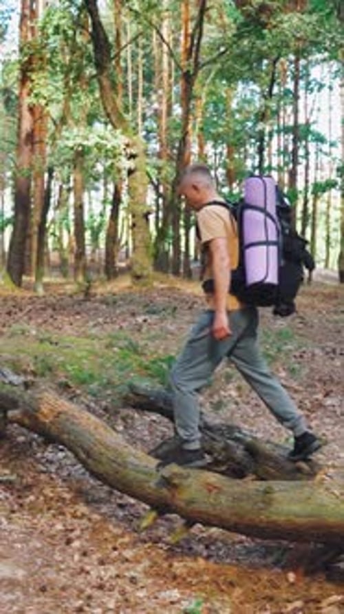 Embark on an Exciting Hiking Adventure in the Vibrant Forest a Journey Exploring the Breathtaking