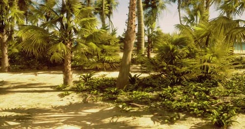 Lush Tropical Landscape with Palm Trees and Vibrant Greenery Near the Coast