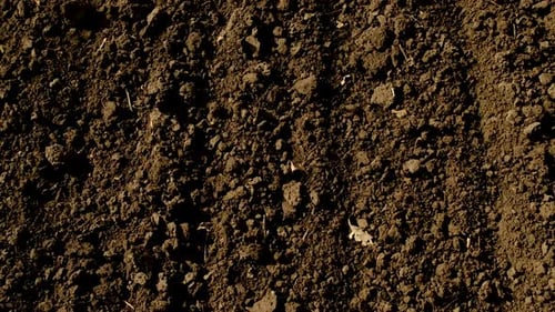 Gepflügter Boden auf dem Feld