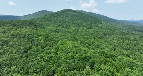 Aerial View Of Mountain Covered With Green Trees In Summer.