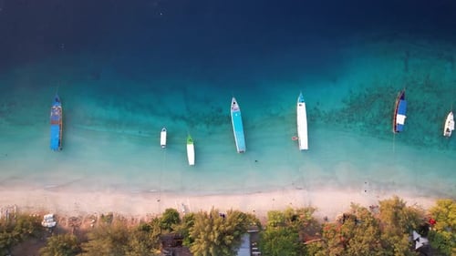 Tropical beach