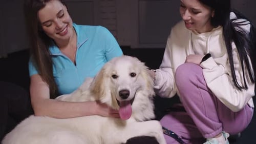 Two Young Women Petting a White Dog Indoors