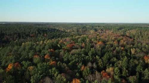 AERIAL: beautiful smooth green waters of a lake on a sunny autumn day