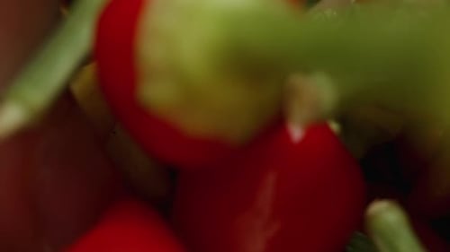 Colorful Peppers Close Up