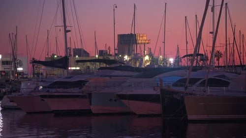 Establishing Night Video of Illuminated Port of Monaco with Luxury Yachts