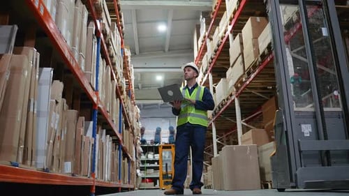 Logistics Worker Using Laptop to Check Inventory at Warehouse