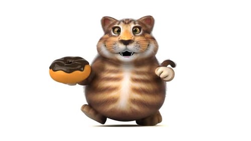 Gato divertido - Animação 3D