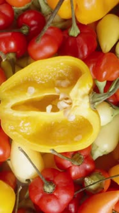Colorful Peppers Close Up Displaying Freshness