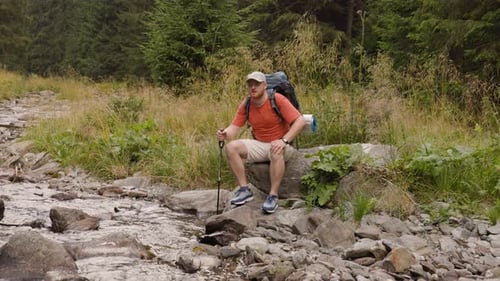 Traveling Man Sitting on Rock in Forest