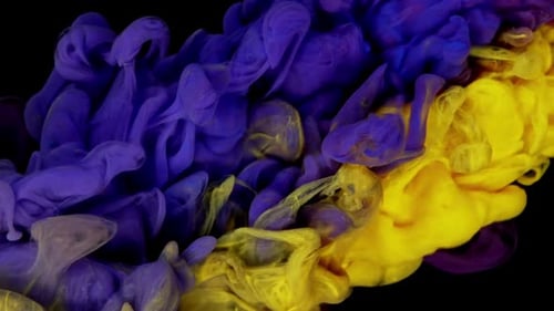 Colorful Ink Swirling Abstractly in Water