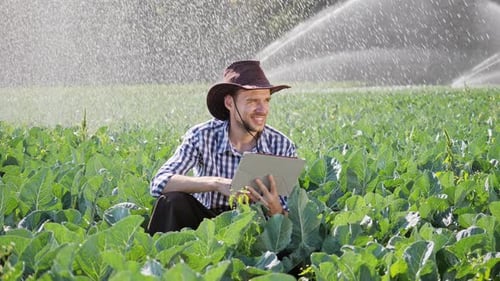 Farmer Using Digital Tablet During Monitoring His Plantation