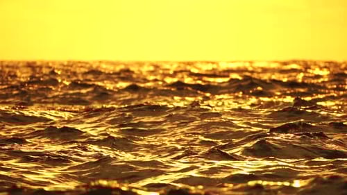 Sea Horizon Line with Waves on Golden Sunset