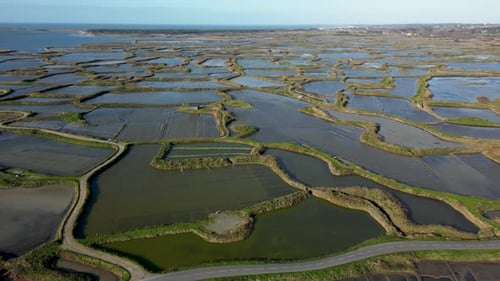 Scenic Landscape Footage of the Slat Marshes Near Guerande France