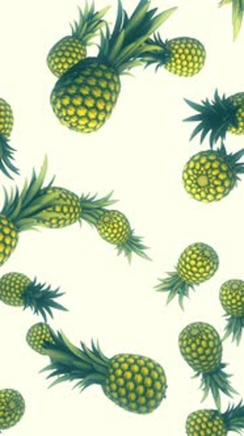 Vintage Pineapples 04