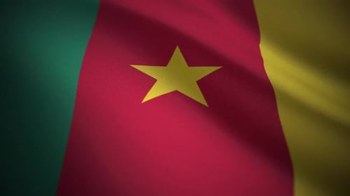 Cameroon Flag Cloth Simulation – Motion Graphics