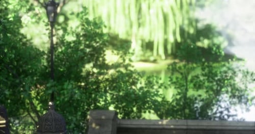 Serene Park Scene with Lush Greenery and Warm Sunlight in a Tranquil Setting