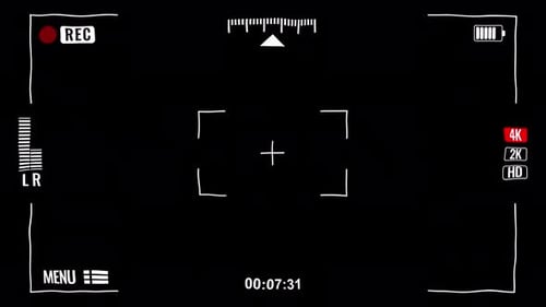 Écran d'enregistrement de caméra noir et blanc