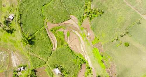 Farmland in the Philippines