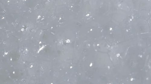 Slow motion of bubble on white background.