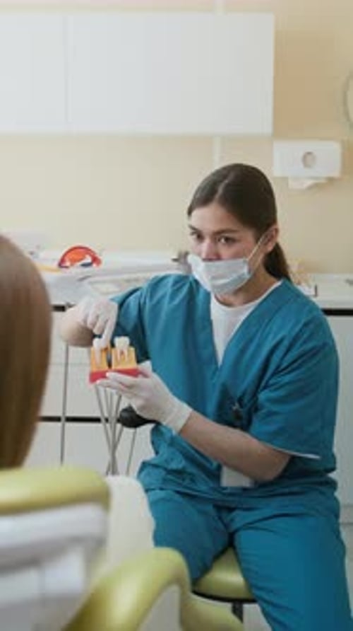 Woman Explaining Dental Model to Patient in Office