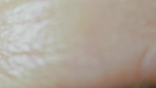 Extreme Close Up of Colorful Eye