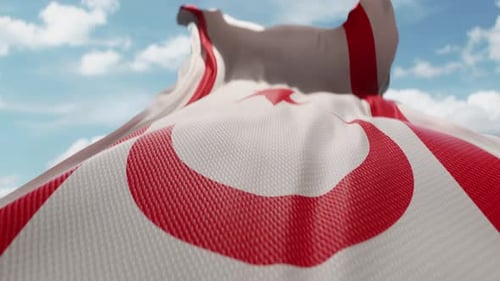 Realistic Waving Flag with Red Star and Crescent
