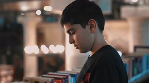 Choosing A Book In The Library