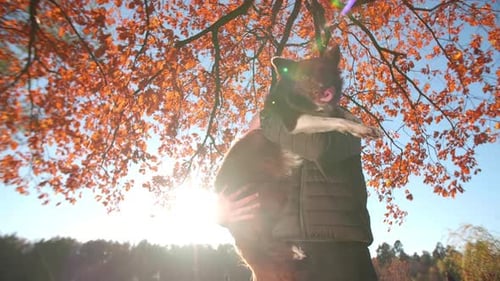 Happy Owner Hugging His Puppy After Playing in Autumn Park